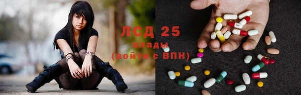 spice Верея