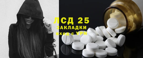 spice Верея
