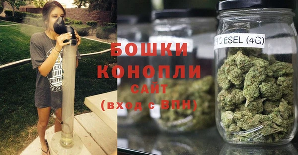 spice Верея