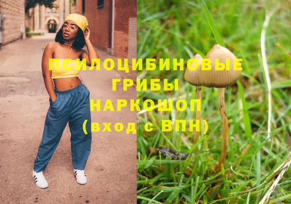 spice Верея