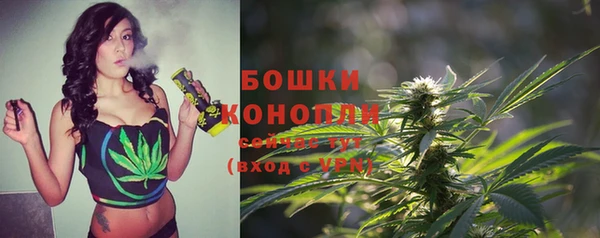 spice Верея