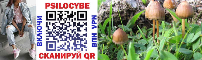 Псилоцибиновые грибы Psilocybine cubensis  omg зеркало  Южно-Сахалинск 